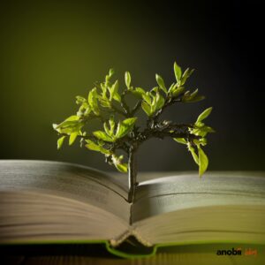 Migliori libri di crescita personale: letture per conoscersi meglio